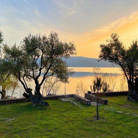 Seafront Traditional Stone House In Sunset Olive Grove - B Villa Alyfanta Esterno foto