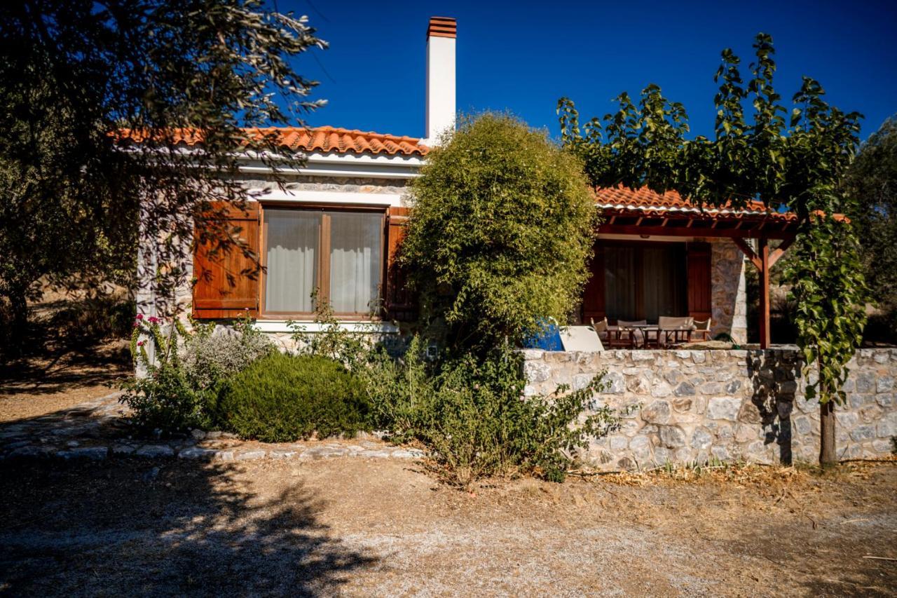 Seafront Traditional Stone House In Sunset Olive Grove - B Villa Alyfanta Esterno foto