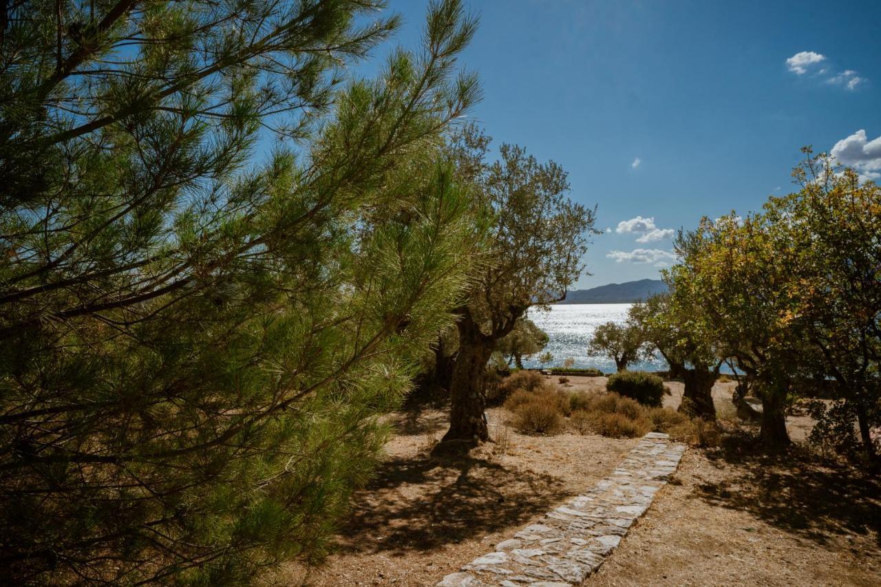 Seafront Traditional Stone House In Sunset Olive Grove - B Villa Alyfanta Esterno foto