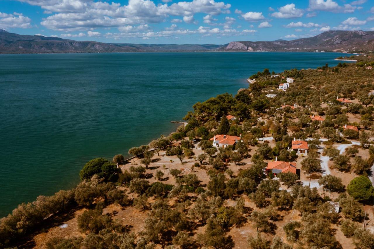 Seafront Traditional Stone House In Sunset Olive Grove - B Villa Alyfanta Esterno foto