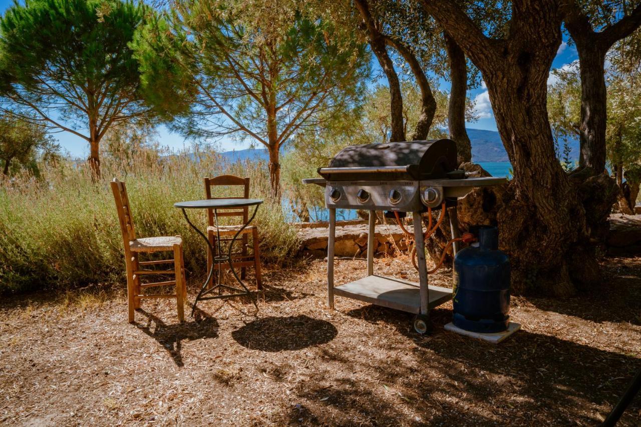 Seafront Traditional Stone House In Sunset Olive Grove - B Villa Alyfanta Esterno foto